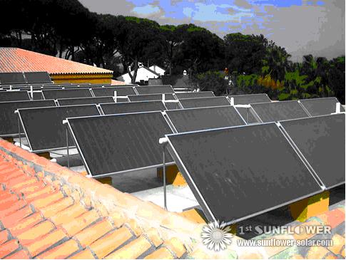 Evactudated tubo colector solar